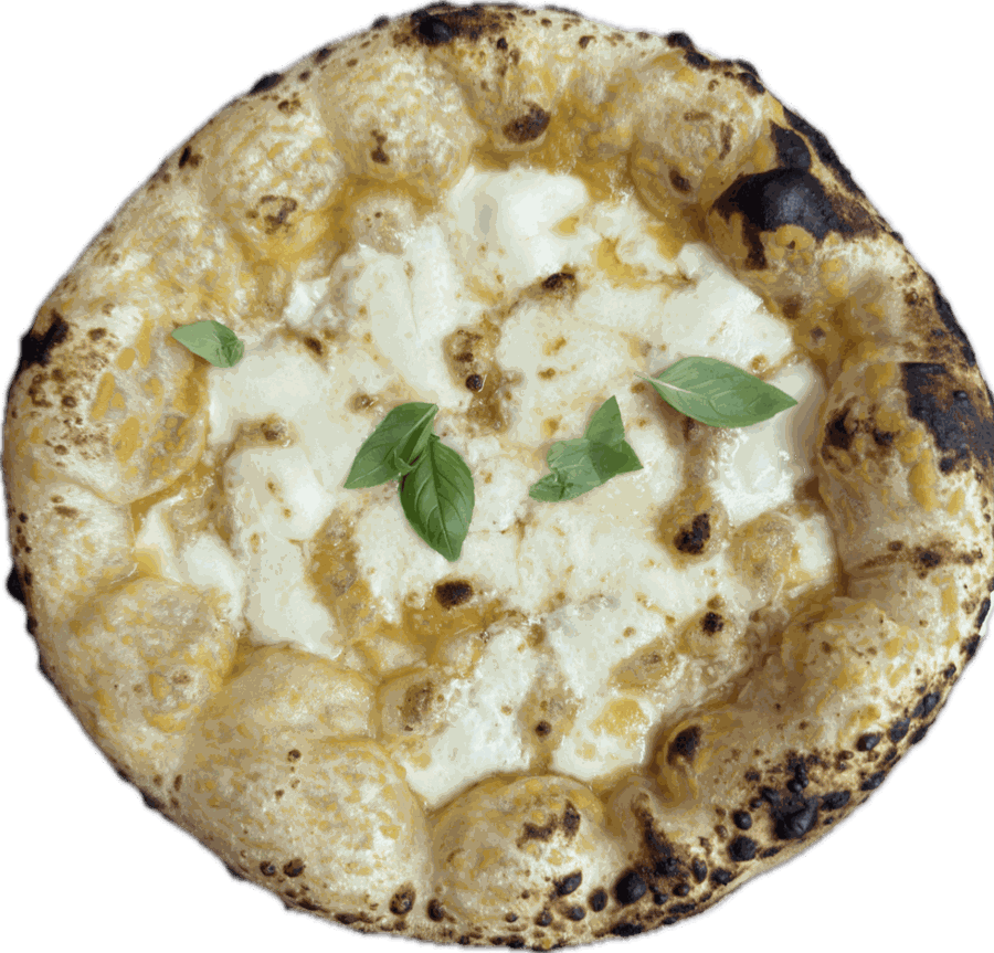 Pizza mit gelber Datteltomatensauce, Fior di Latte und Pecorino