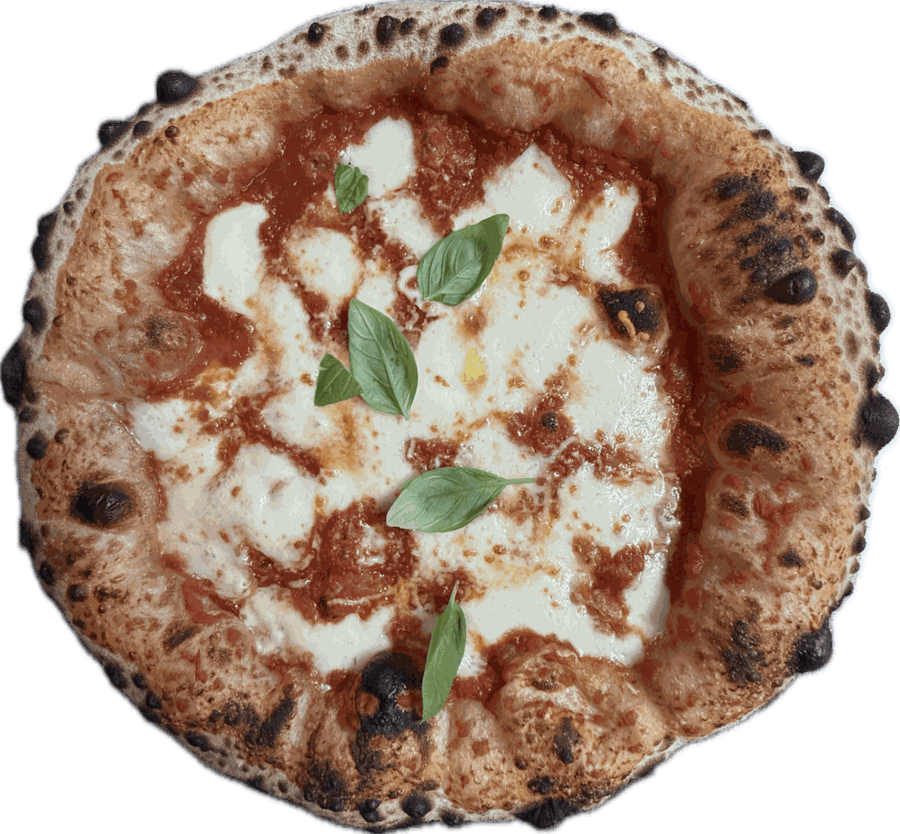 Pizza mit roter San-Marzano-Tomatensauce, Fior di Latte und Pecorino