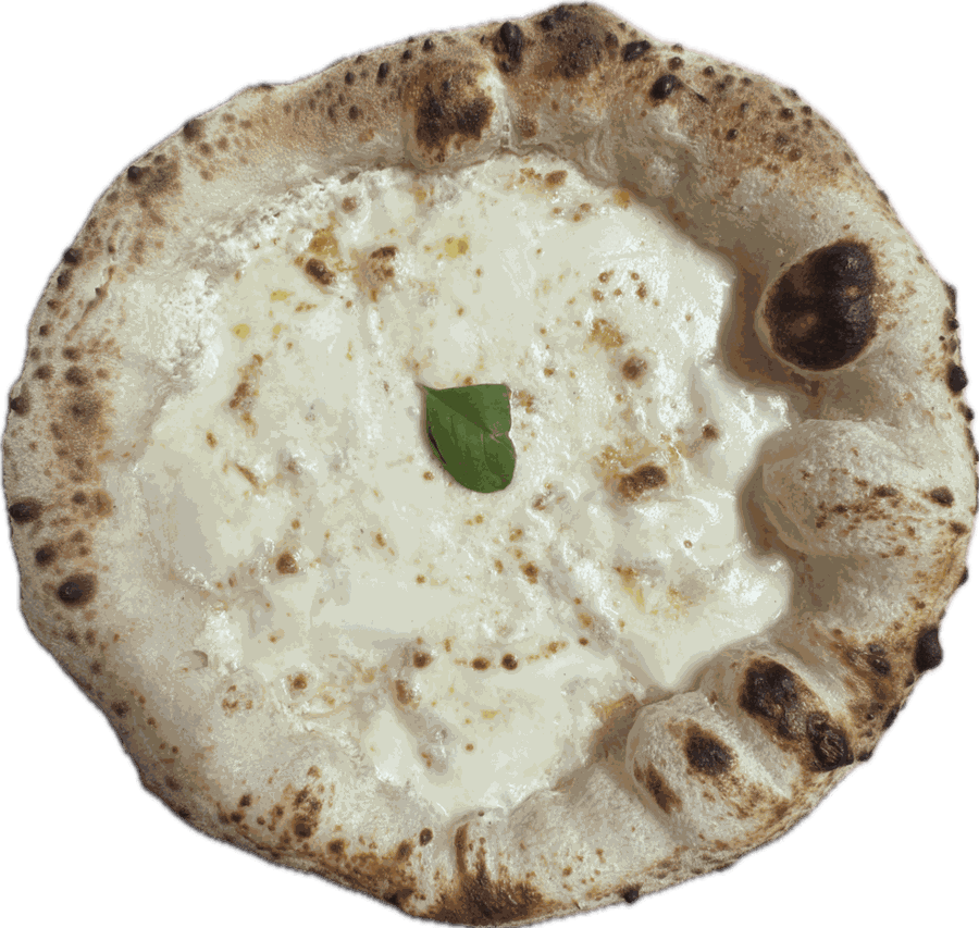 Weiße Pizza mit Sauerrahmcreme und Fior di Latte